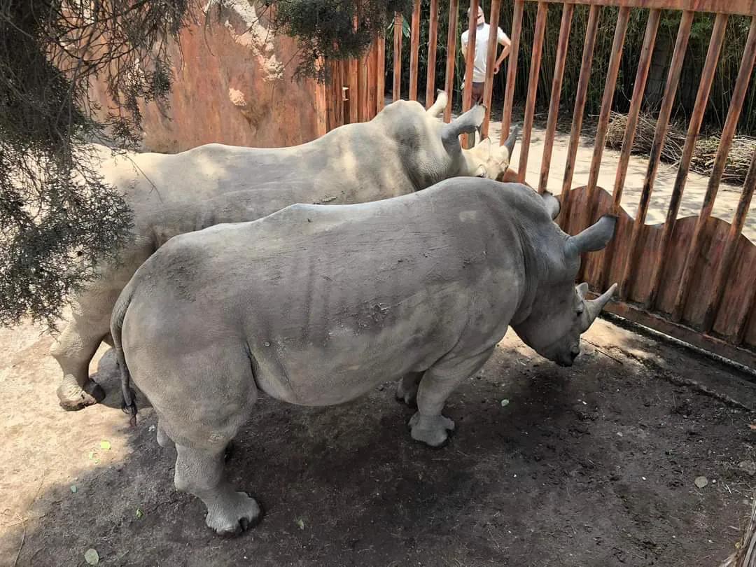 危地马拉的著名风景,危地马拉的首都游玩