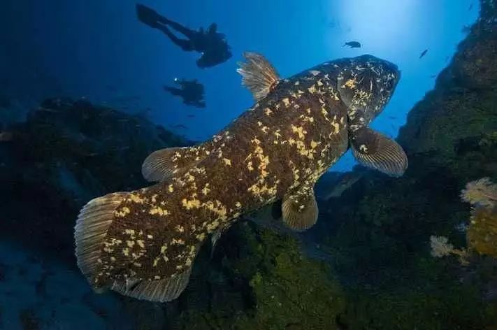 世界是《信条》，还是一个深渊