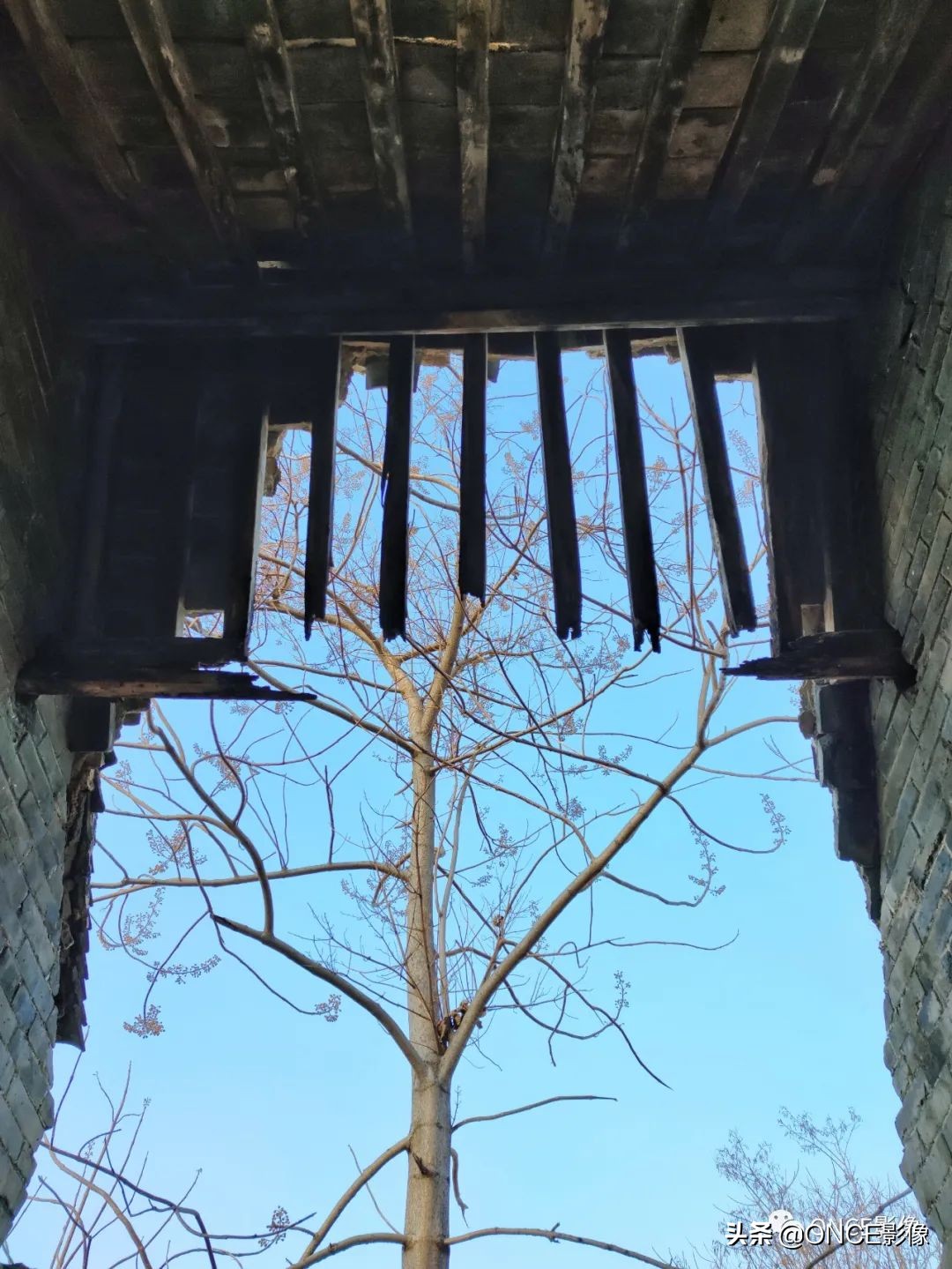 东平翰林院老人,东平翰林苑房价