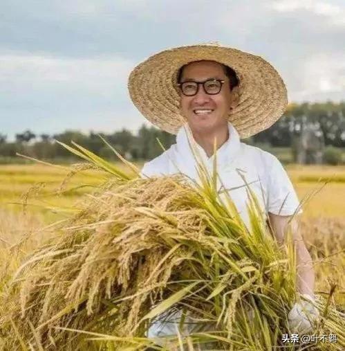 林心如周杰事件前因后果,还珠格格尔康被判刑