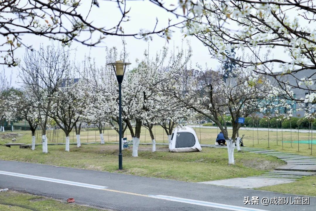 地铁3号线能到的美景地方,一号线地铁直达的风景