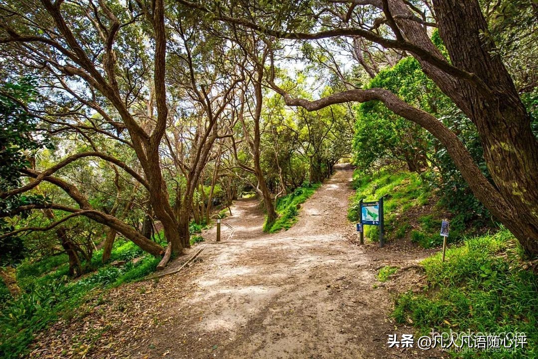 坐大巴环游中国111天,国内到新西兰游攻略