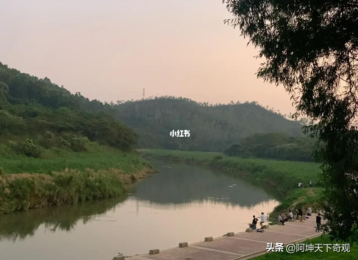 致全市垂钓爱好者,野钓小众的钓鱼地点