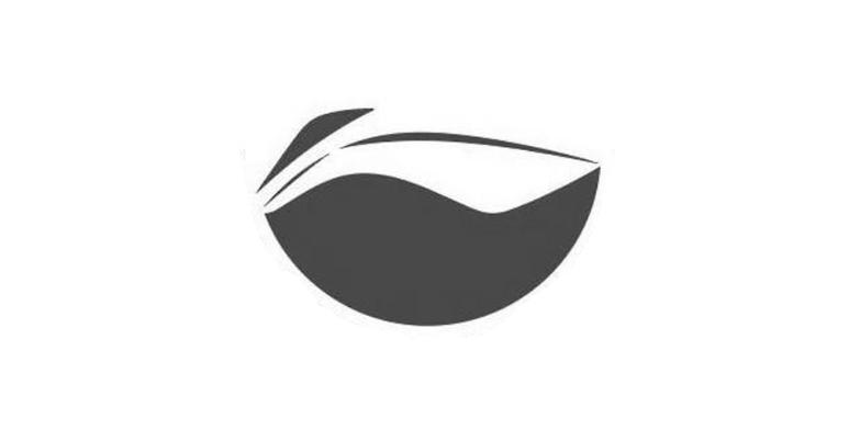 李宁的大logo图片,李宁logo新店