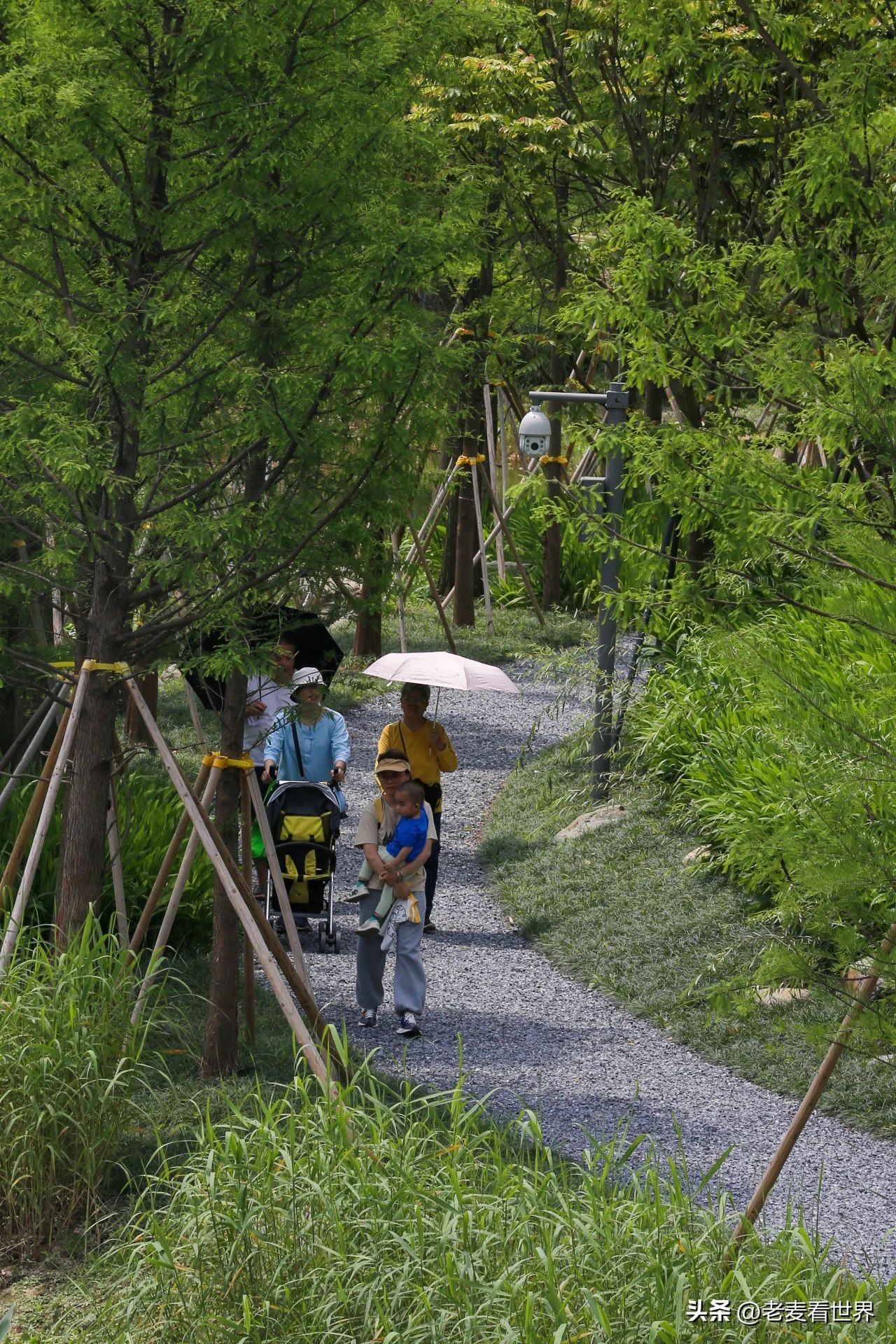 东莞中心公园怎么玩？最全攻略助你通关！五一打卡必备