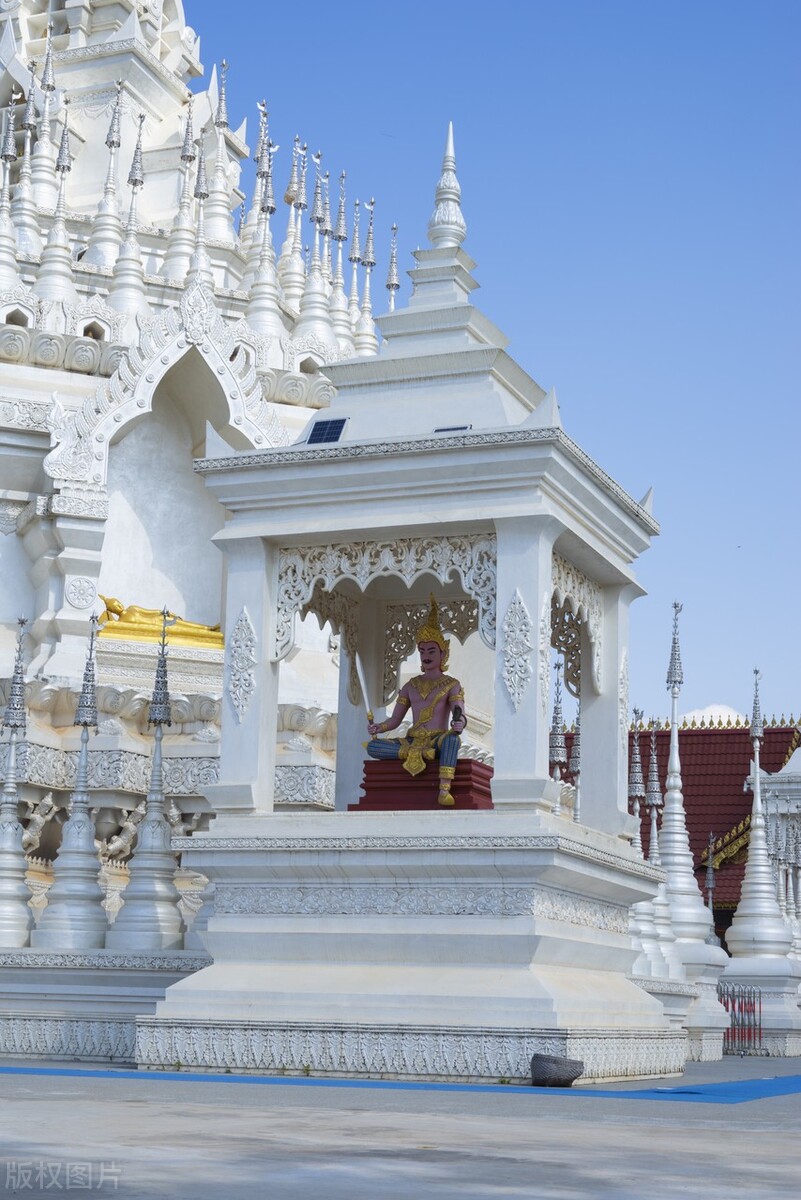 2022西双版纳门票免费的景区,西双版纳望天树景区与热带植物园