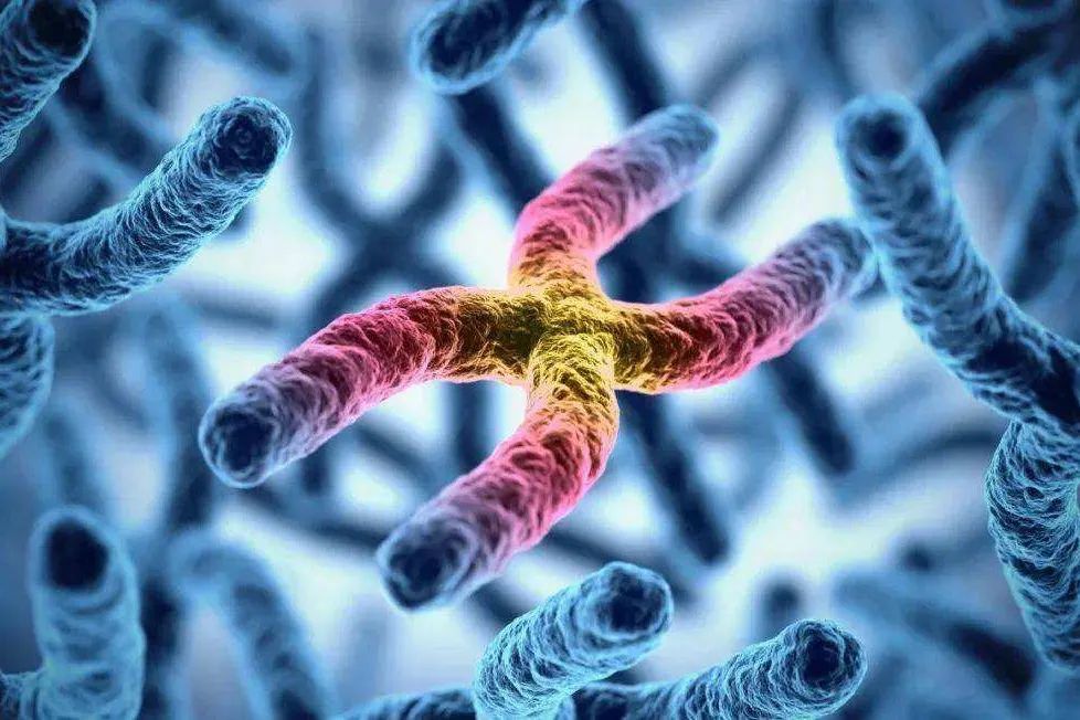 精子dna不好会导致胎停吗,流产胎停是精子问题吗