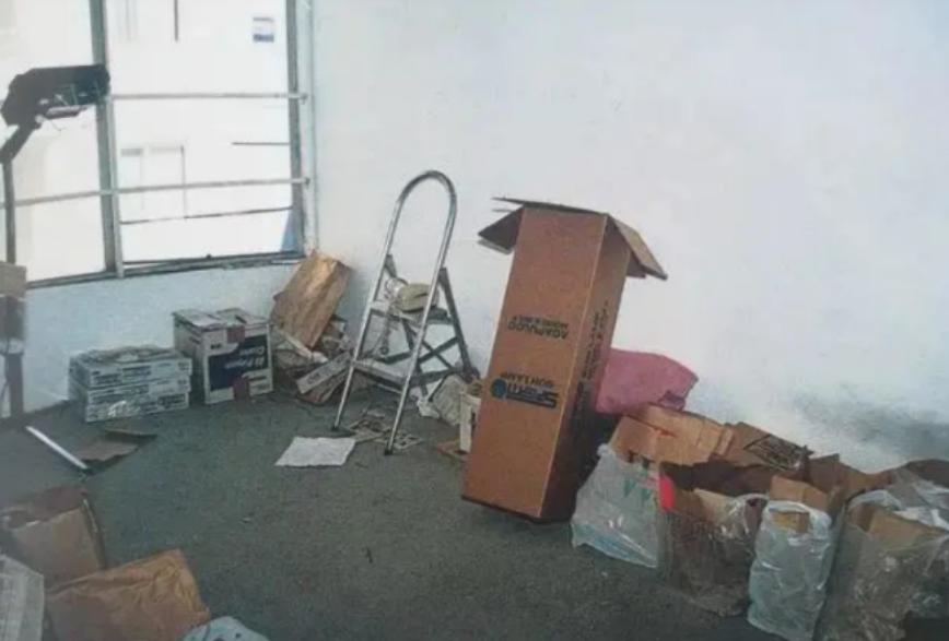 张爱玲在美国怎么死的,张爱玲死后多长时间才被人发现