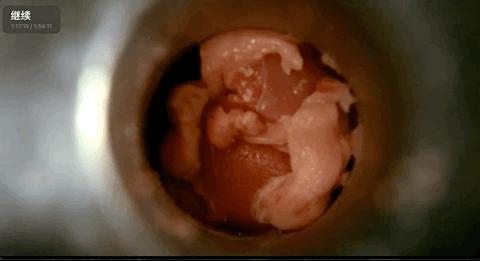 连海报都要打码，《新鲜》把观众看吐了