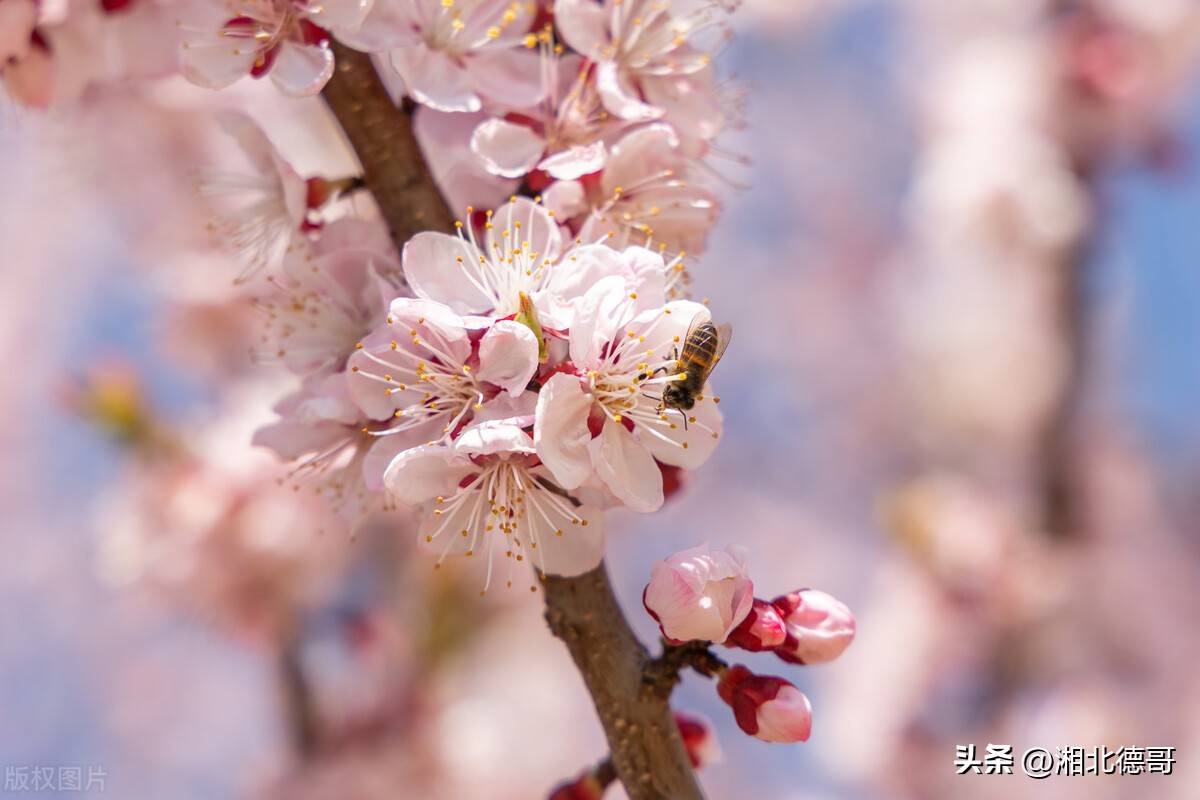 德智体美劳“五育并举”——我校开展劳动教育课程活动