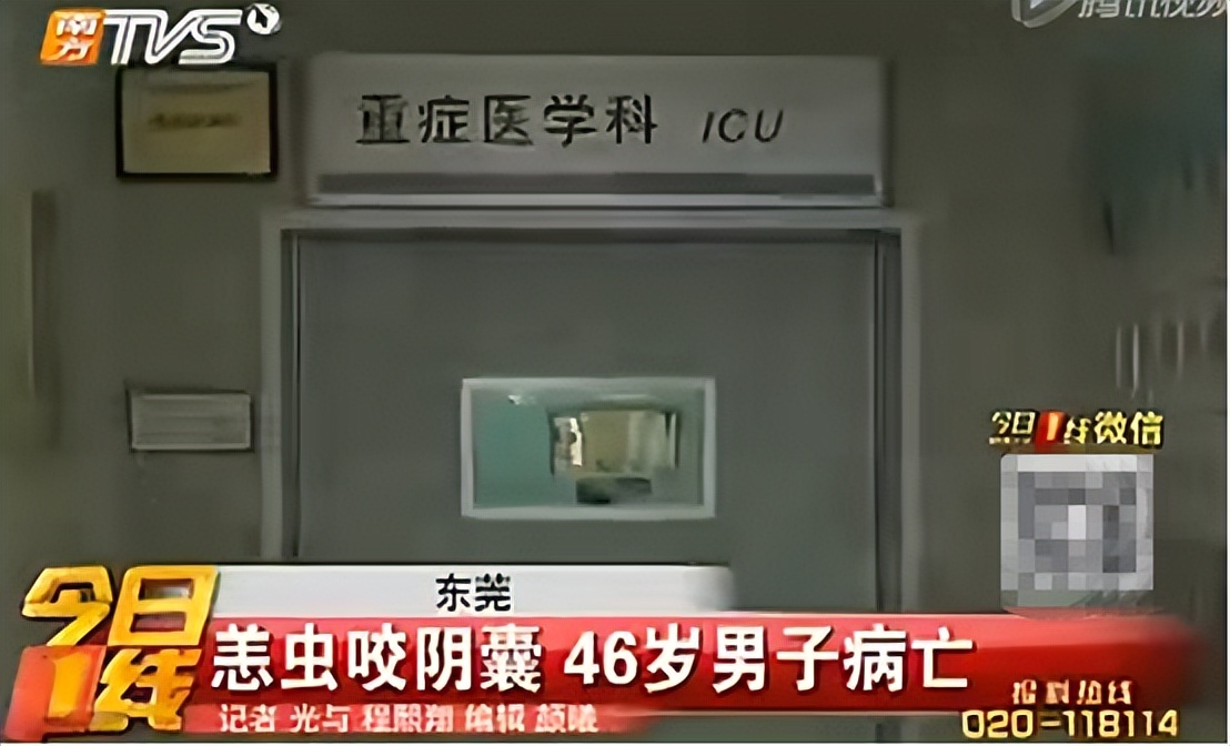 恙虫到底有多可怕？致死率极高