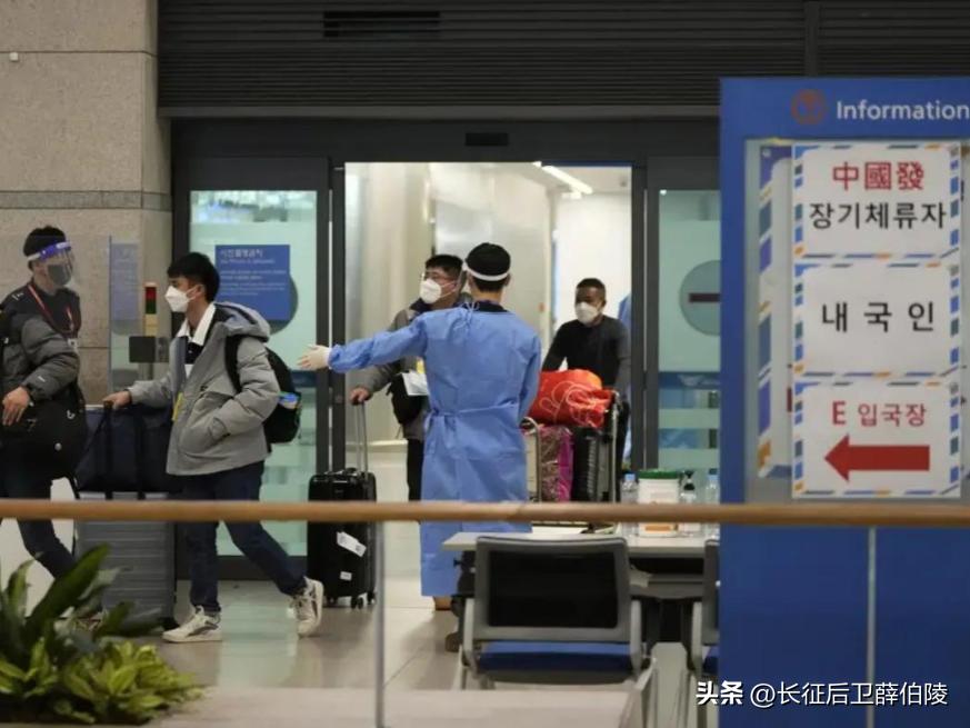 韩国对华出口芯片损失多少钱,韩国对华芯片出口额