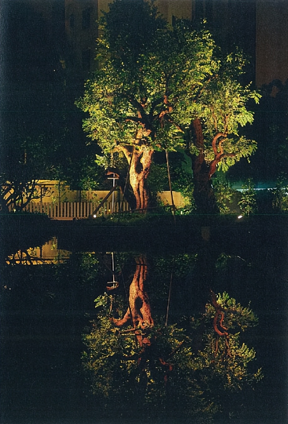 景观灯具布局要点,怎样布置庭院景观灯