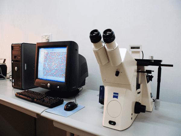 金相分析能分析出什么,金相分析检测的作用