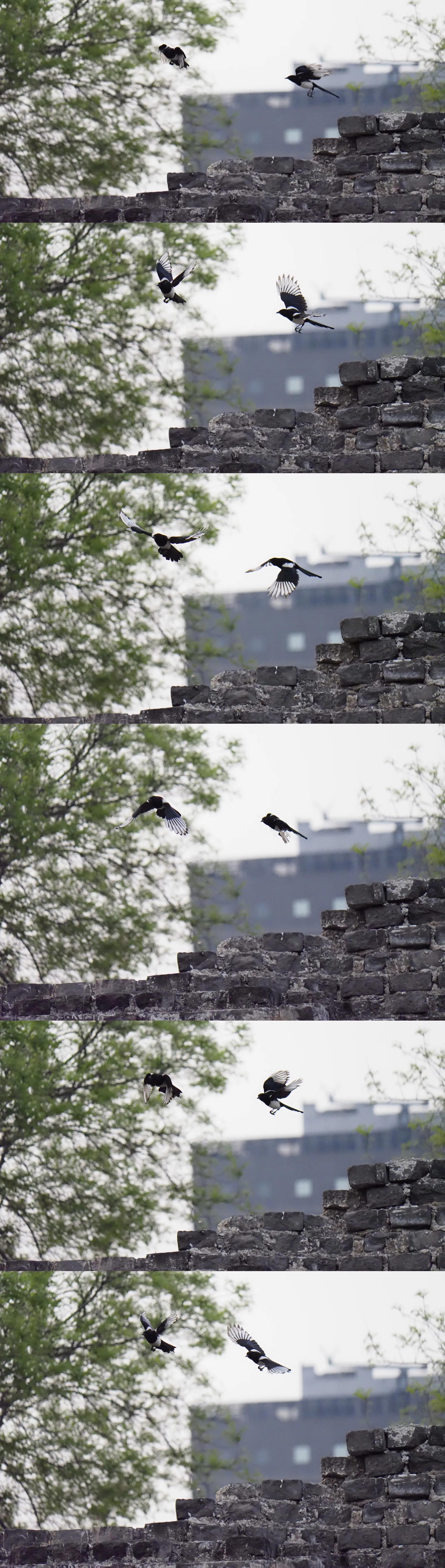 低价变焦摄像头,低价超长焦镜头