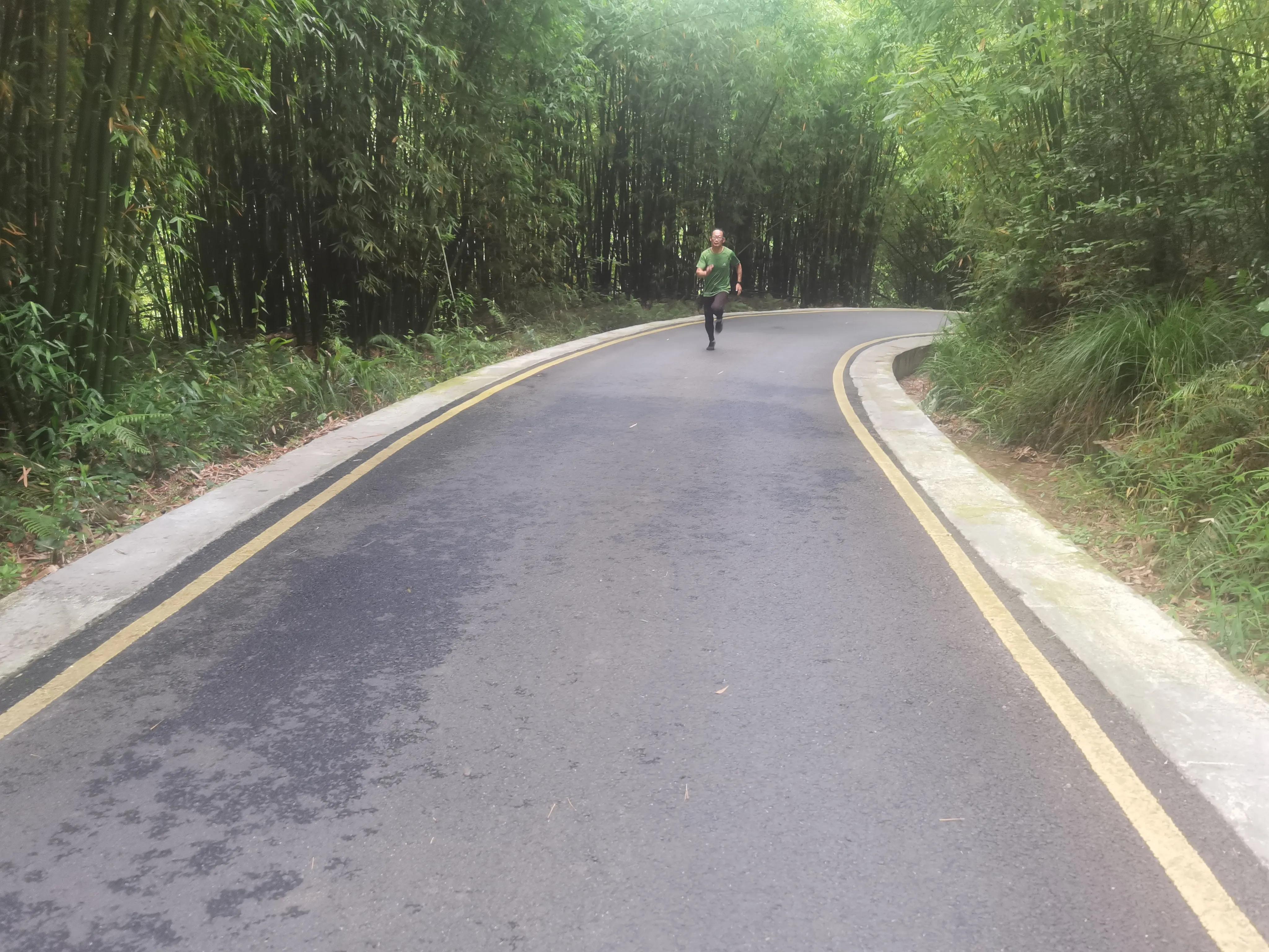 端午游竹园风景,端午节去轿子山赏杜鹃花海