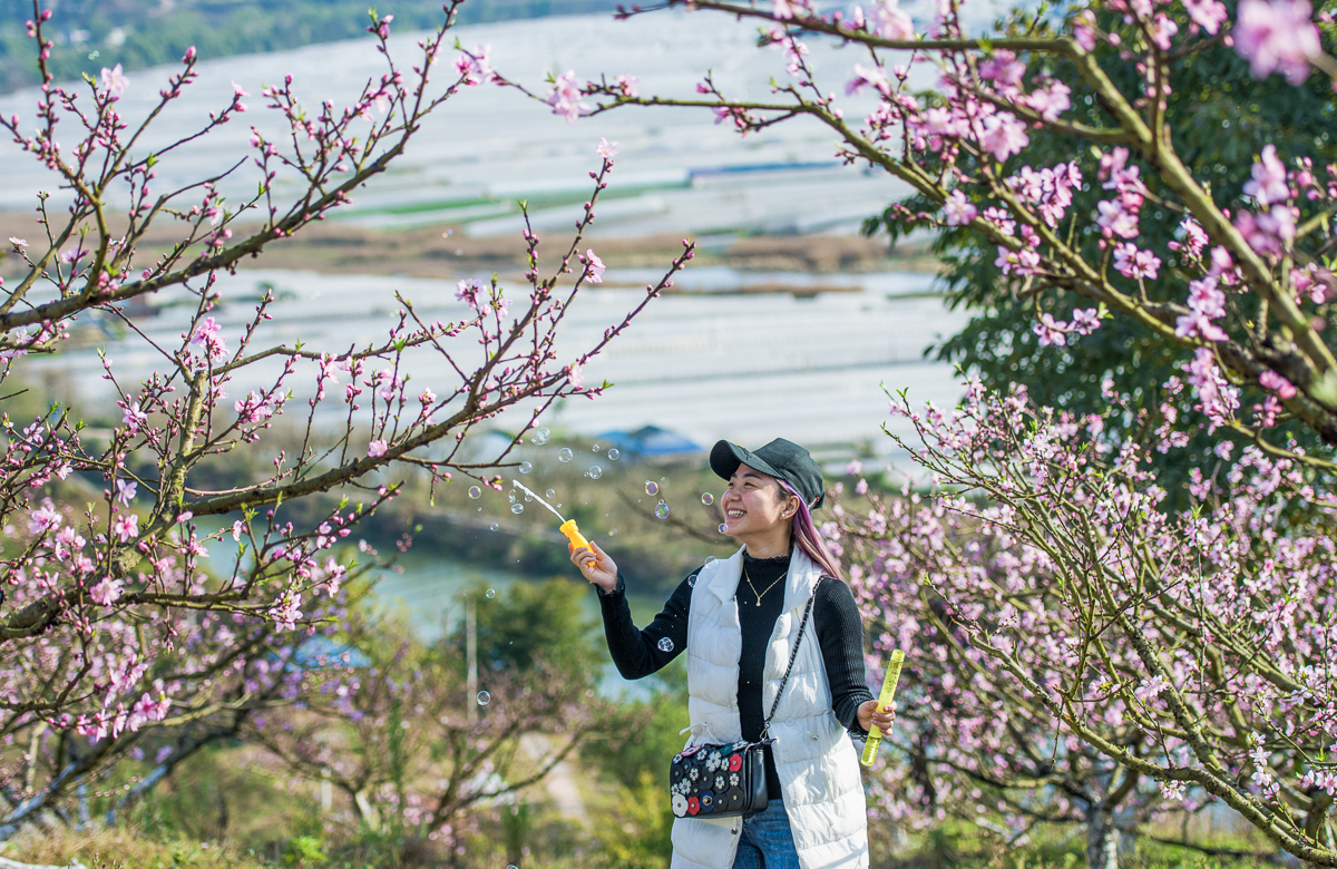 潼南油菜花旅游攻略,美好春日潼南赏花地图快来get