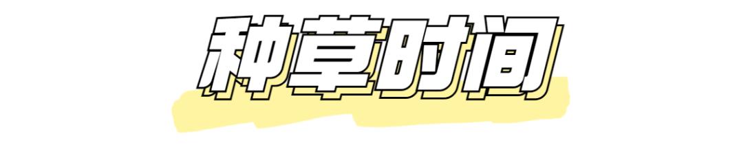 通勤裤子穿搭秋冬,夏季裤子通勤穿搭推荐