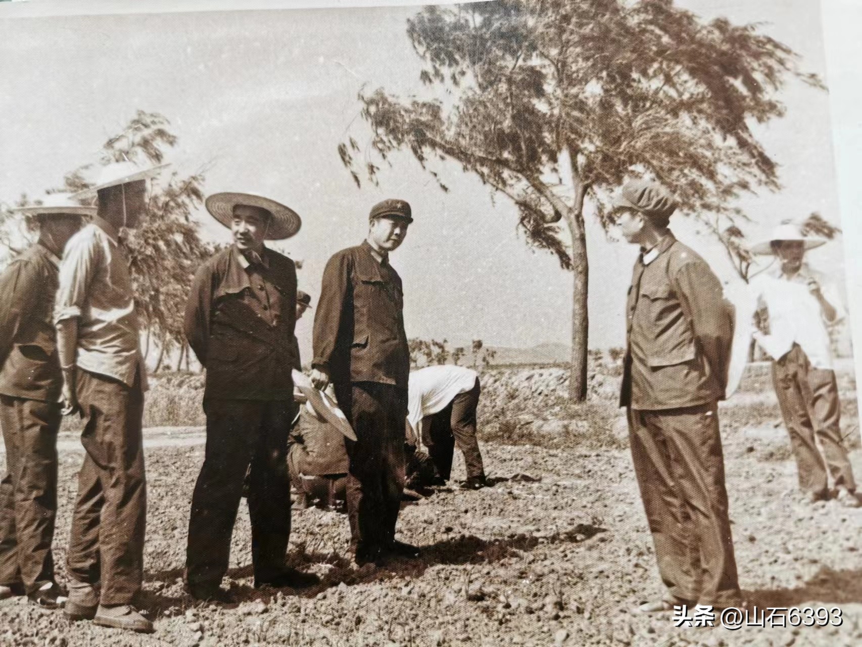 「战友美文」陈民的“永远的78师”25：《“北大荒”的青葱岁月》