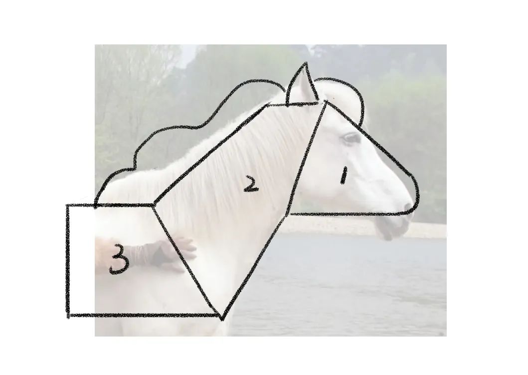 4步带你绘制有趣又好看的彩铅人物头像