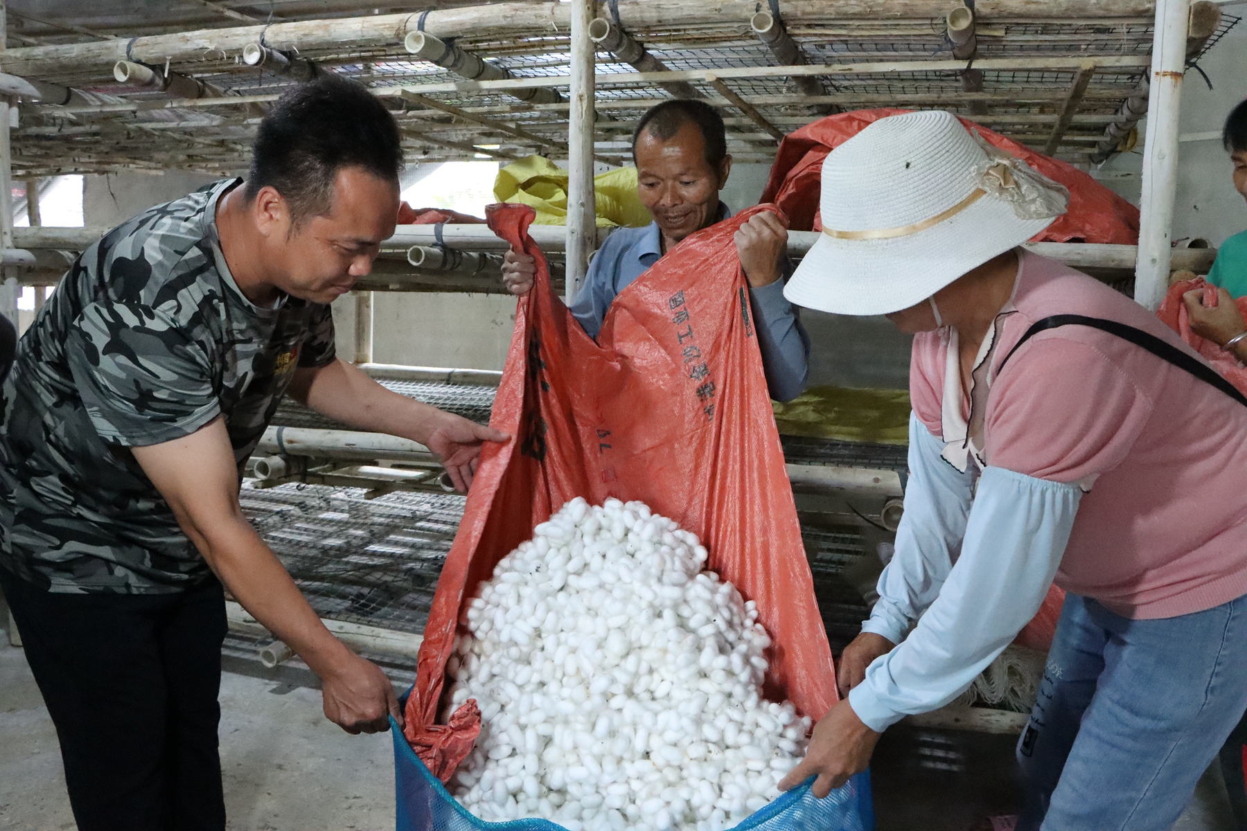 产值1.62亿！打造致富“新丝路”