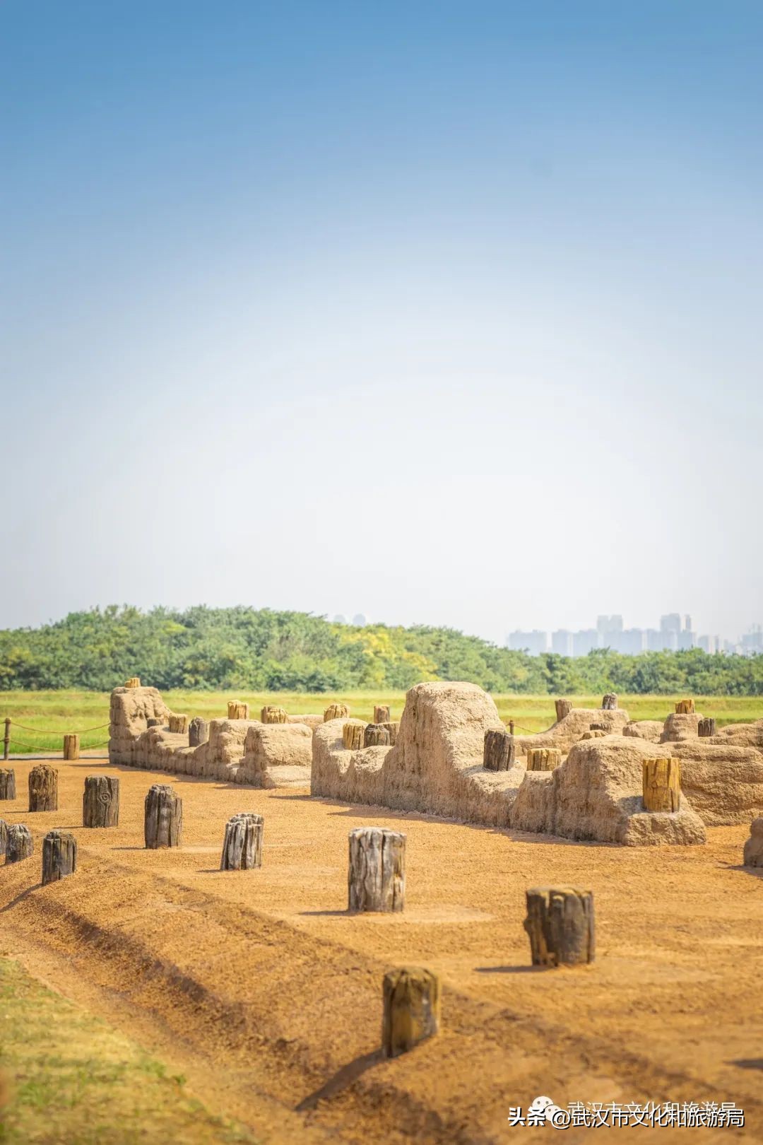 来武汉一定要去一趟东湖看荷花,来武汉看樱花吧