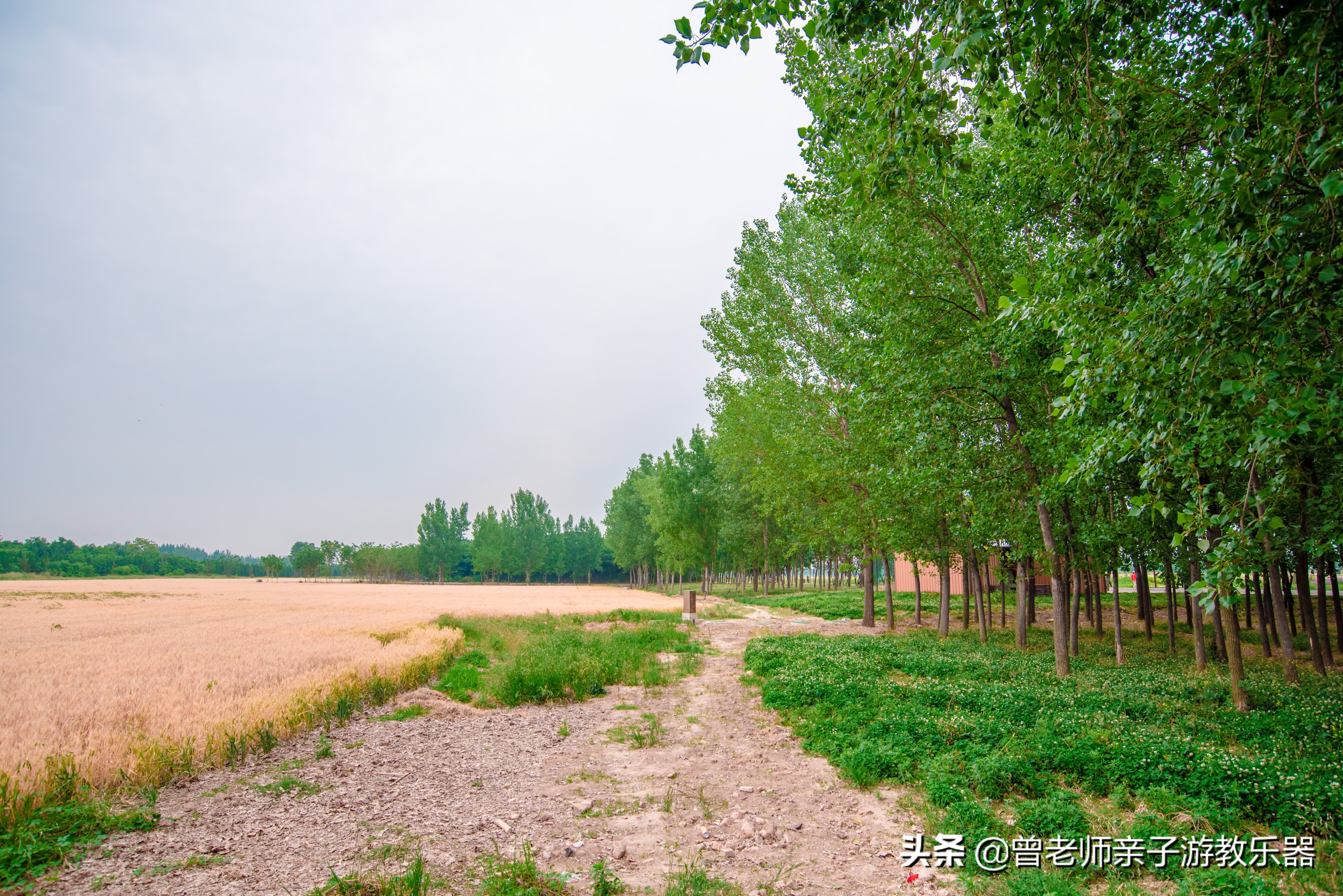 汉长安城未央宫遗址公园露营电话,汉长安城遗址公园露营最新