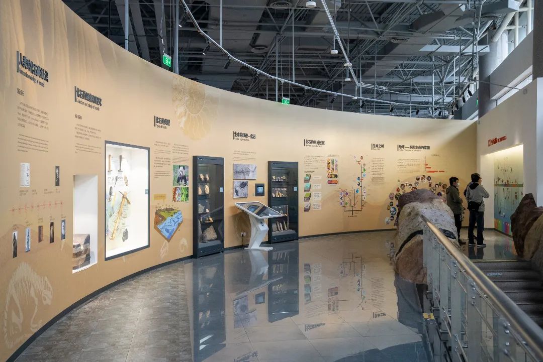 相约博物馆的感受,古生物博物馆南京