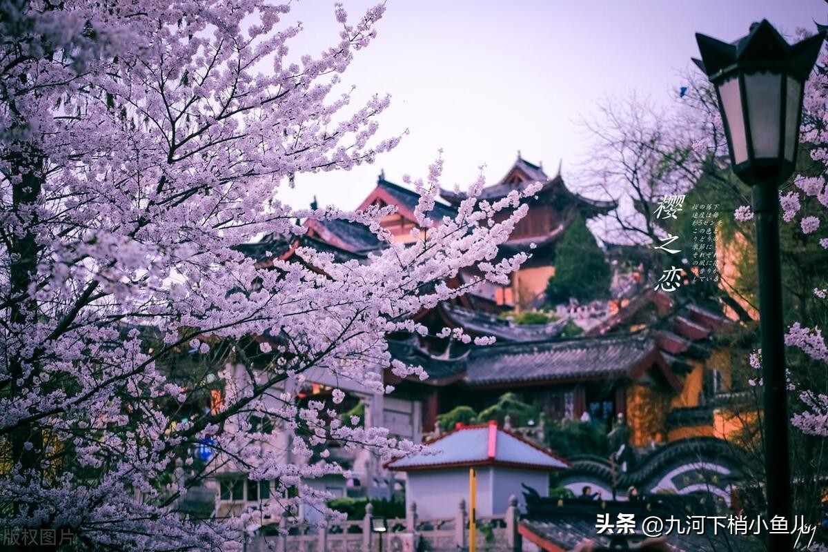 天津周边四小时高铁游,从天津出发高铁三日游推荐