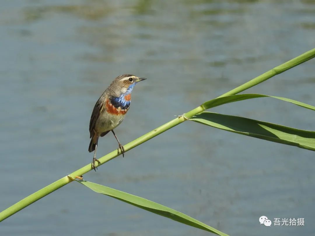 砂石坑什么时候挖出来,砂石石槽图片