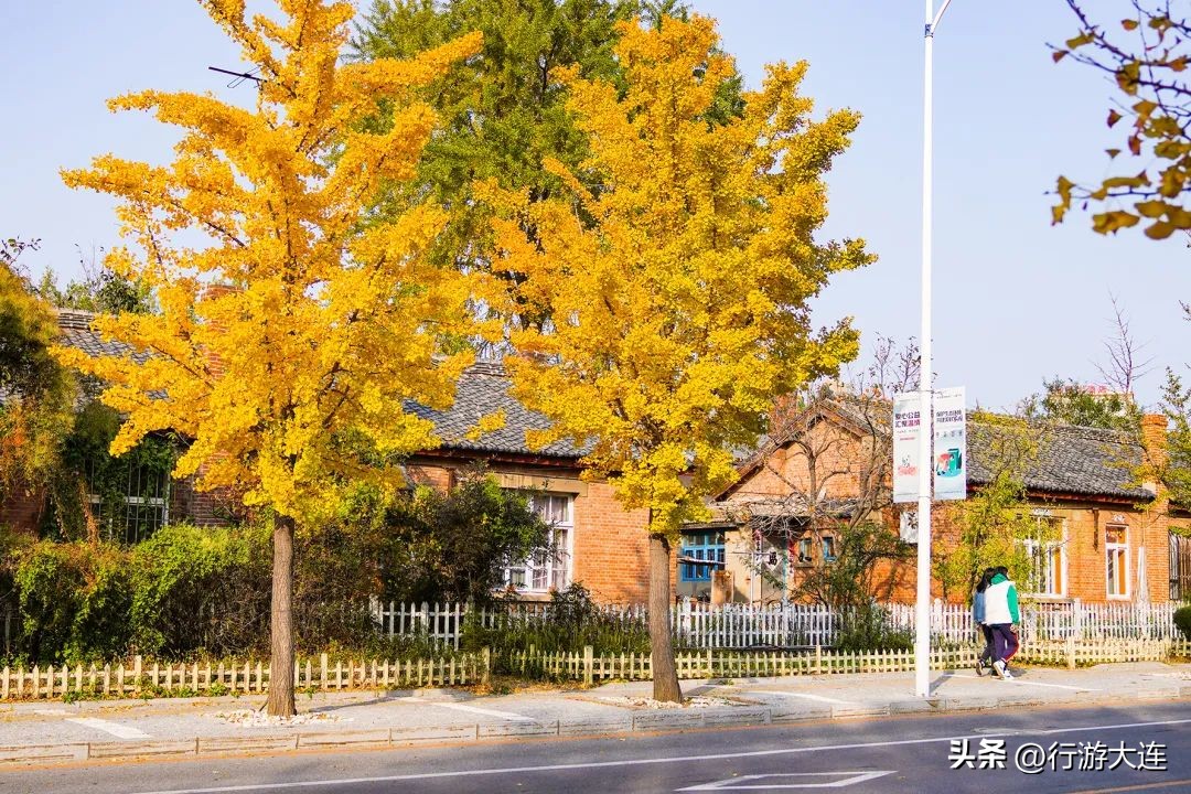 漫步大连风景区,漫步大连风景