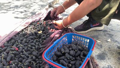 五一秦皇岛小众旅游,秦皇岛一日游最值得去的地方