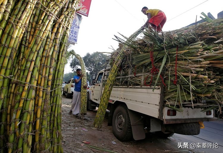 几个国家已禁止粮油出口,目前有多少国家限制粮食出口