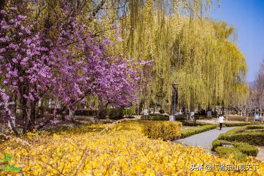 丧家的资本家乏走狗原文,丧家的资本家乏走狗指的是谁