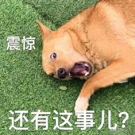 中国最先进的情报组织,内地最神秘的情报组织