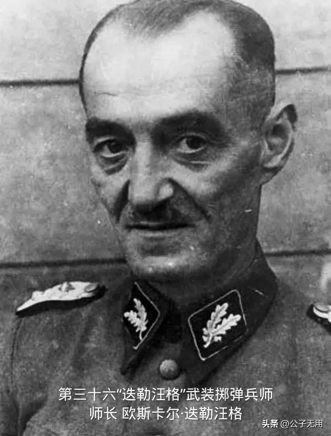 二战德国*党**卫军38个师：各师师徽标志，番号及编制简介（下篇）