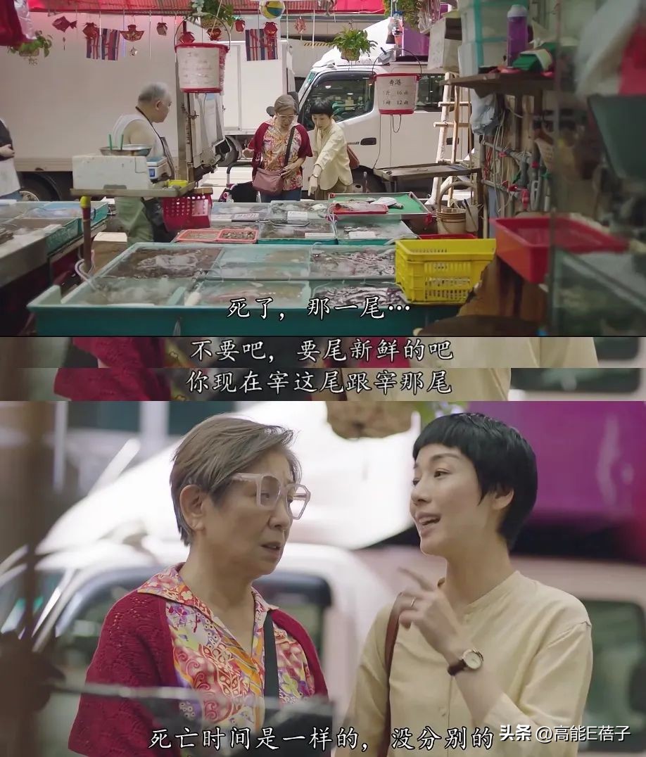 治好了我的精神内耗,我的阿勒泰治好了我的精神内耗