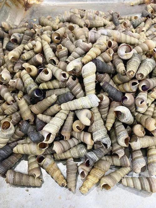 15种海鲜的经典吃法及价格,常见的海鲜正确吃法大全