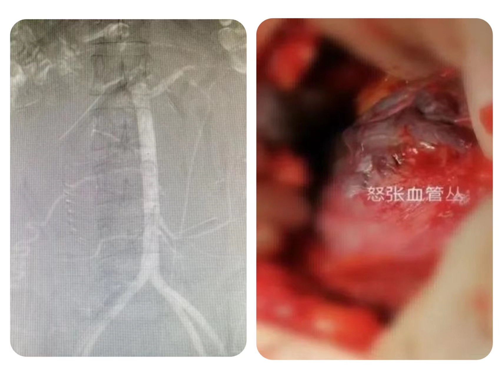 防控疫情我们在一起致敬逆行者,疫情之下我们拼尽全力