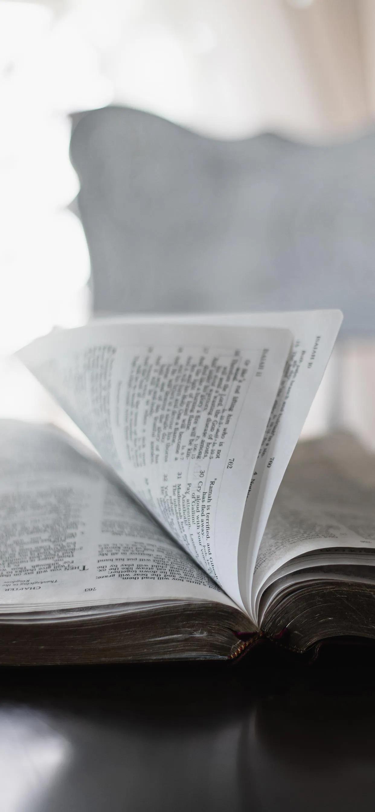 黑白配色壁纸,黑白高清壁纸4k全屏