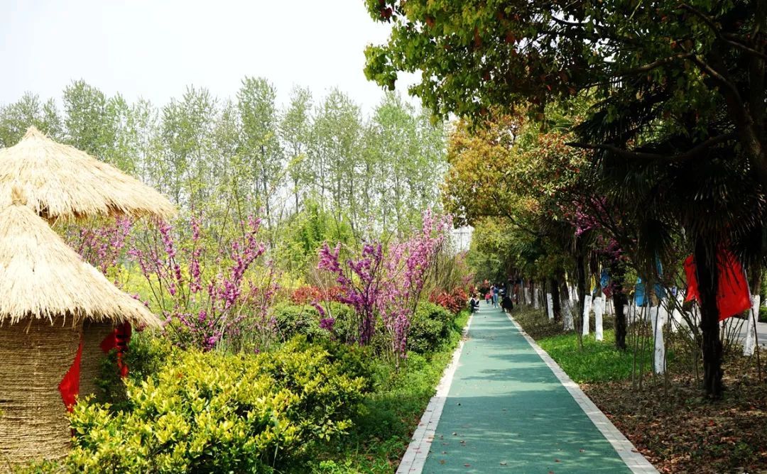 泰州姜堰出发自驾1日游好去处攻略推荐