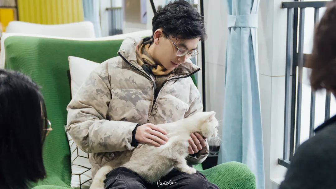 年轻人独居的三个方法,年轻人选择独居的原因是什么