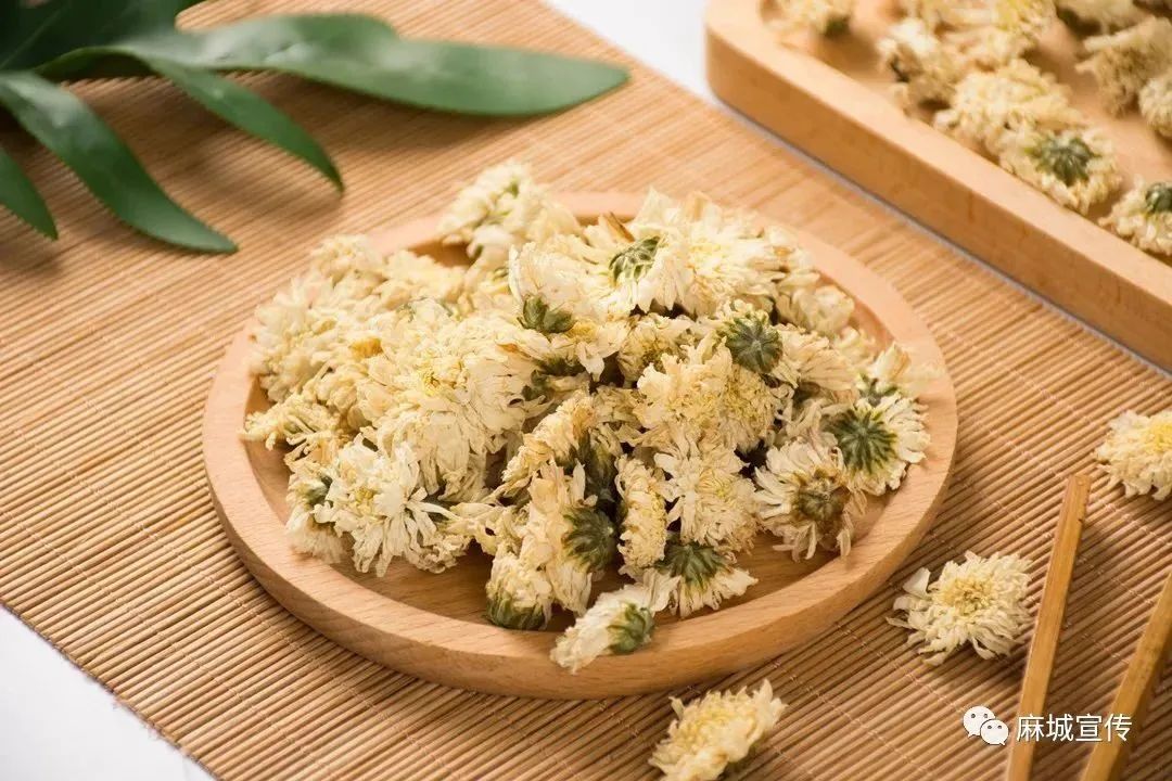 湖北麻城福白菊在哪里买,麻城福白菊产品及介绍