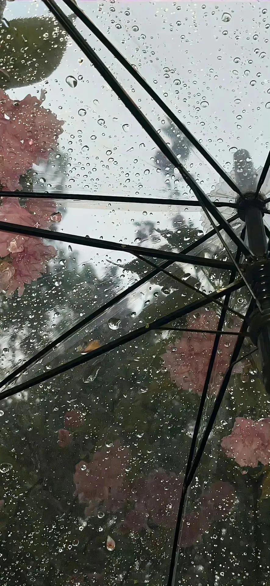 爱情哲理句子人生感悟语录,人生感悟哲理语录句子