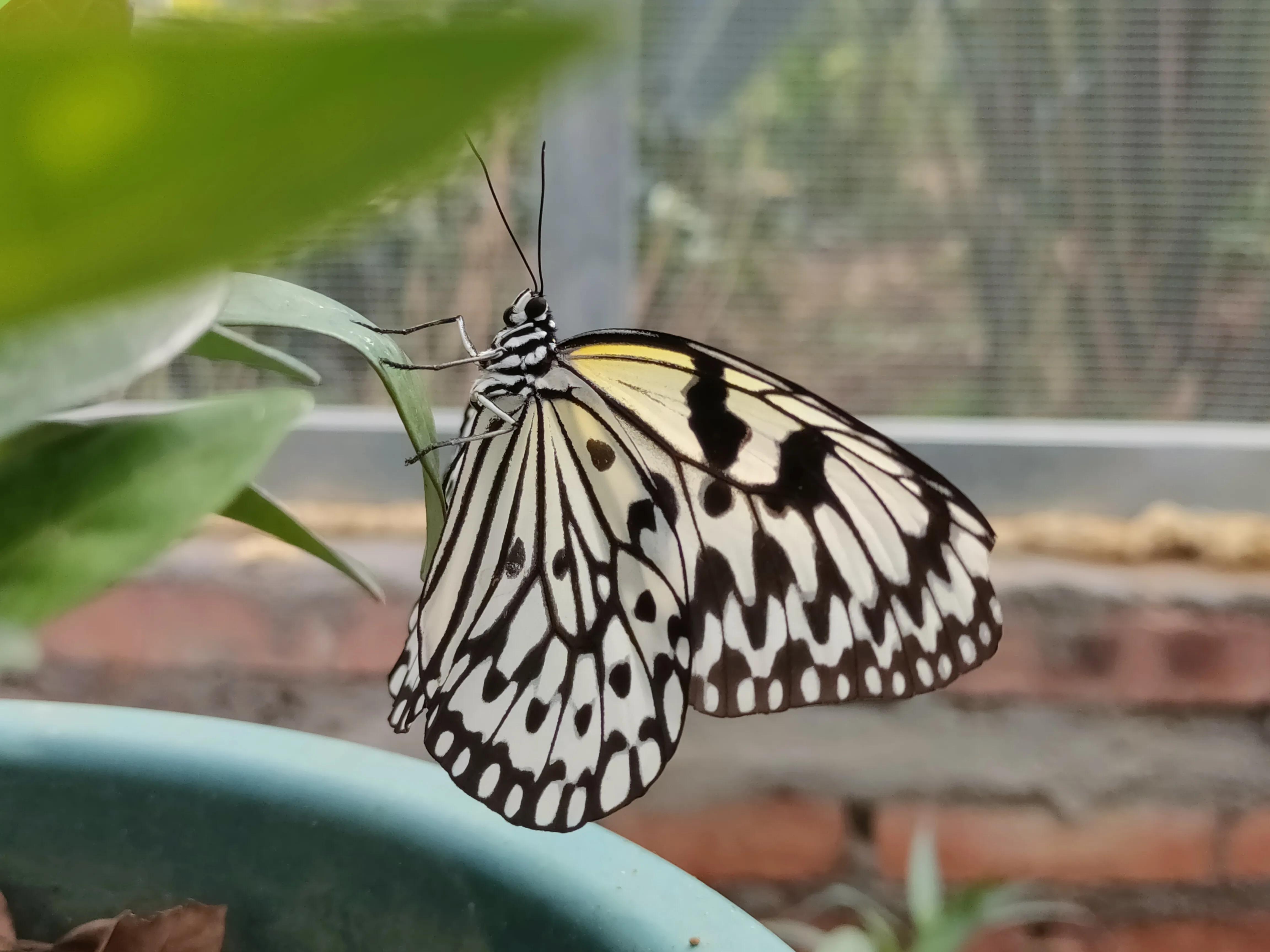 大鹿岛有什么好玩的吗值得去吗,广东英德仙鹿岛要门票吗