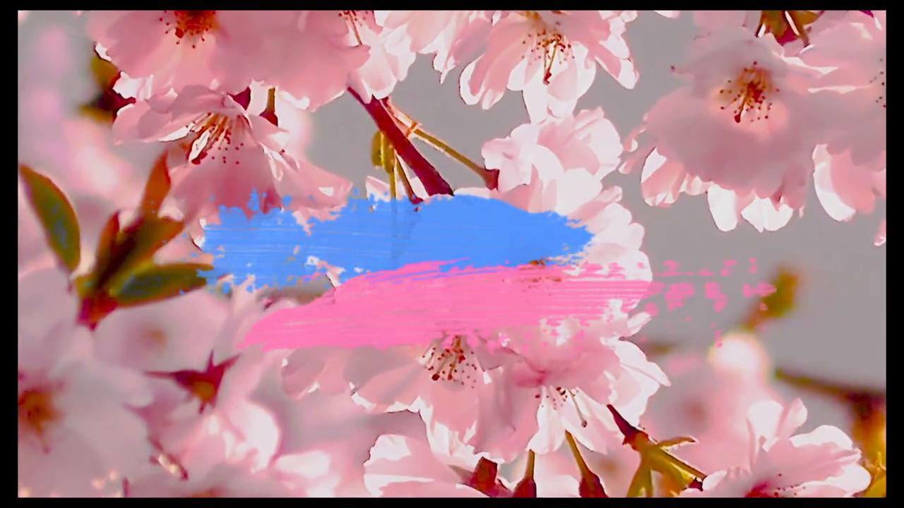 老六说,没完没了