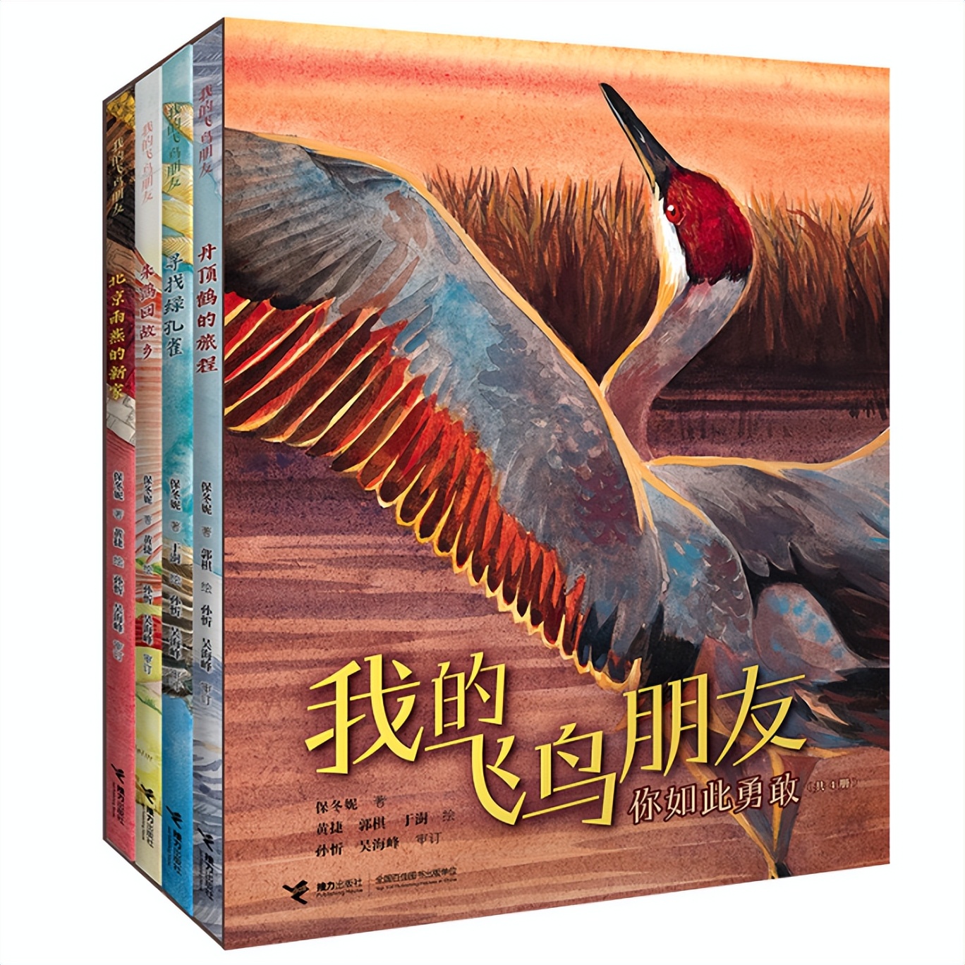 珍稀野生动物鸟类图片朱鹮,我国珍稀鸟朱鹮图片