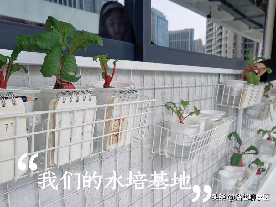 提前一年落户能读桂雅路小学吗,提前一年落户的学校