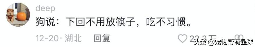 狗狗看见晒的腊肉香肠馋得直跳脚,狗子眼红主人吃肉