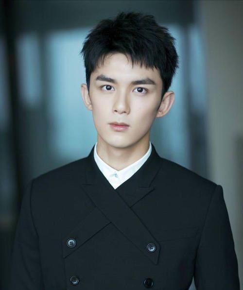 说出15个川渝地区的男明星,巴蜀美男子